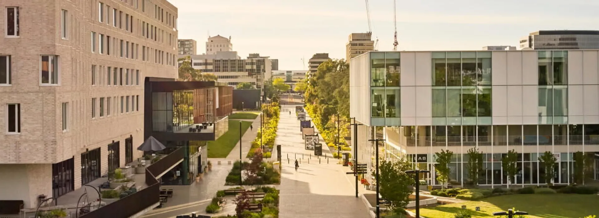 University Avenue